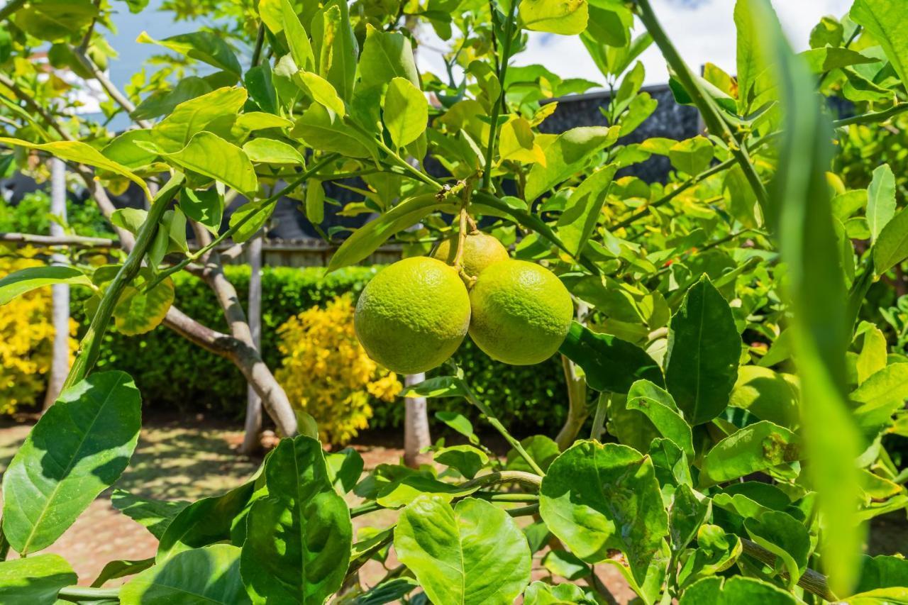1730 Kaleka 4 Bed Poipu House, Guest House Walk To Beach Koloa Exteriör bild